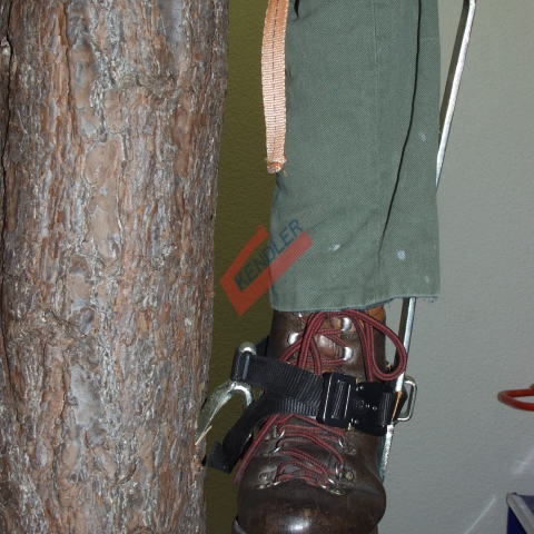 Baumsteigen